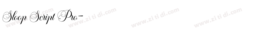 Sloop Script Pro字体转换